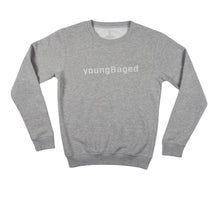 Cargar imagen en el visor de la galería, TEAM CREW NECK - HEATHER GREY
